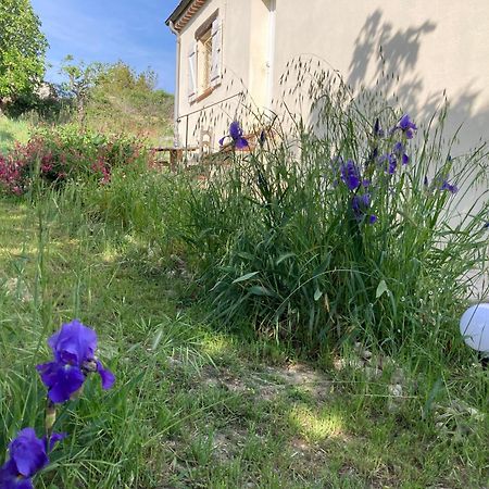 Villa Les Figuiers Кань-сюр-Мер Экстерьер фото